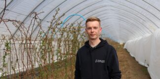 Przystępujemy do regeneracji roślin po przymrozkach malina, regeneracja po przymrozkach, przymrozki