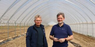 Przędziorki i malinowisko – ciekawe rozwiązania dedykowane uprawie malin Malina, Paweł Krawiec Michał Pniak przędziorki zwalczanie