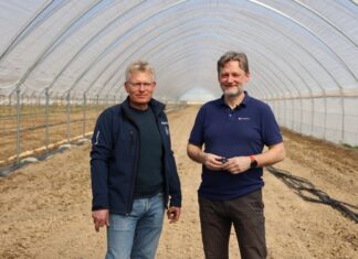 Przędziorki i malinowisko – ciekawe rozwiązania dedykowane uprawie malin Malina, Paweł Krawiec Michał Pniak przędziorki zwalczanie