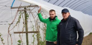 Zabiegi wspierające odporność malin i ich prawidłowy wzrost Radosław Łaźny i Sławomir Kopeć