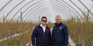 Wspomaganie borówki w okresie kwitnienia i usprawnienie procesów fizjologicznych w roślinach borówka kwitnienie