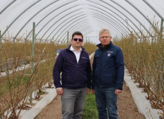 Wspomaganie borówki w okresie kwitnienia i usprawnienie procesów fizjologicznych w roślinach borówka kwitnienie