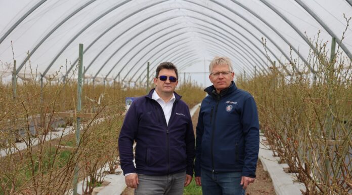 Wspomaganie borówki w okresie kwitnienia i usprawnienie procesów fizjologicznych w roślinach borówka kwitnienie