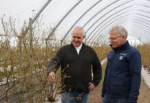 Kontrola biologiczna szkodników glebowych zwalczanie szkodników glebowych pędraki