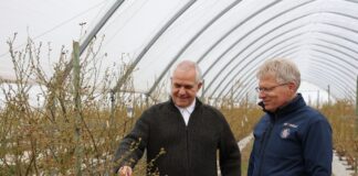 Kontrola biologiczna szkodników glebowych zwalczanie szkodników glebowych pędraki