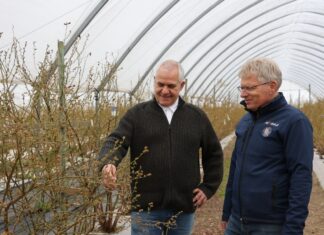 Kontrola biologiczna szkodników glebowych zwalczanie szkodników glebowych pędraki