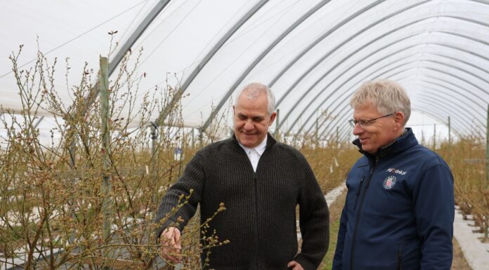 Kontrola biologiczna szkodników glebowych zwalczanie szkodników glebowych pędraki
