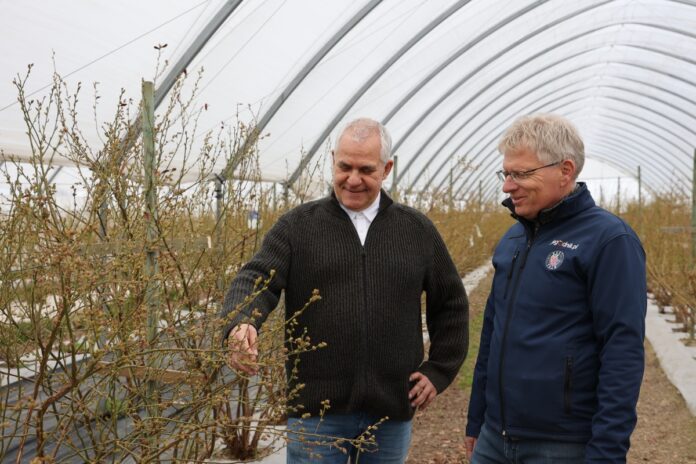 IMG_2860 zwalczanie szkodników glebowych pędraki