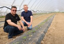 Badania nad mikrobiologicznym preparatem Bakto Profos Badania nad mikrobiologicznym preparatem Bakto Profos