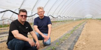 Badania nad mikrobiologicznym preparatem Bakto Profos Badania nad mikrobiologicznym preparatem Bakto Profos