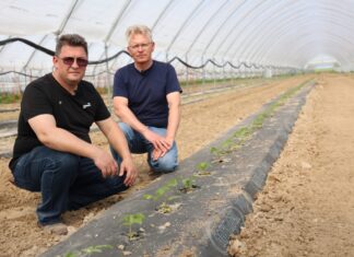 Badania nad mikrobiologicznym preparatem Bakto Profos Badania nad mikrobiologicznym preparatem Bakto Profos