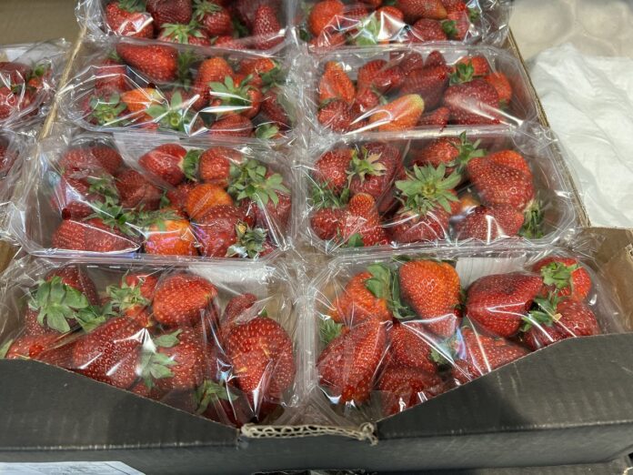 IMG_4330_04_09_2025 ceny truskawek