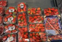 Ceny truskawek z importu w 2. tygodniu kwietnia. Co oznaczają dla polskich plantatorów? ceny truskawek