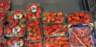 Ceny truskawek z importu w 2. tygodniu kwietnia. Co oznaczają dla polskich plantatorów? ceny truskawek