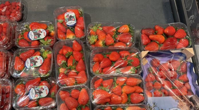 Ceny truskawek z importu w 2. tygodniu kwietnia. Co oznaczają dla polskich plantatorów? ceny truskawek