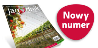 Jagodnik 4/2025 już w sprzedaży!