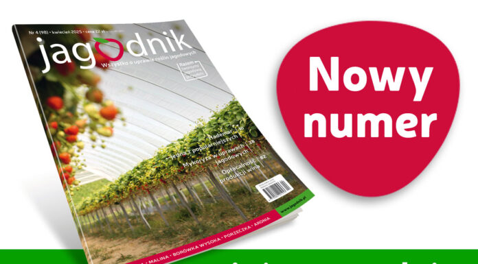 Jagodnik 4/2025 już w sprzedaży!