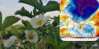 Ostatni weekend kwietnia 2025 pod znakiem przymrozków. Najbardziej zagrożone centrum Polski.