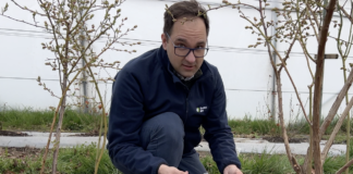 Efektywne wykorzystanie wody na plantacji borówek