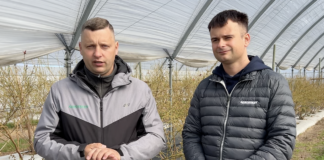 Nowoczesna technologia w uprawie borówki: ochrona i biostymulacja biostymulacja i ochrona w uprawie borówki