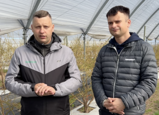 Nowoczesna technologia w uprawie borówki: ochrona i biostymulacja biostymulacja i ochrona w uprawie borówki