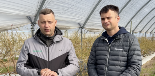 biostymulacja i ochrona w uprawie borówki