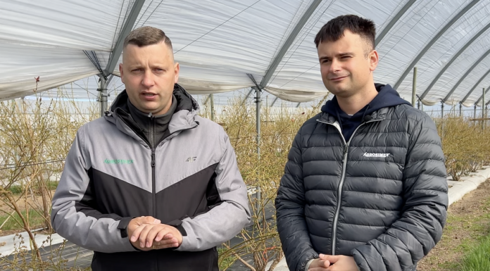 Nowoczesna technologia w uprawie borówki: ochrona i biostymulacja biostymulacja i ochrona w uprawie borówki