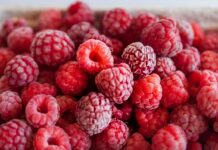 Ukraina liderem w eksporcie mrożonych malin. Stopniowo wypiera z rynku polskie owoce eksport mrożonych malin z Ukrainy, Ukraina mrożone maliny