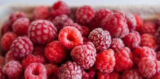 Ukraina liderem w eksporcie mrożonych malin. Stopniowo wypiera z rynku polskie owoce eksport mrożonych malin z Ukrainy, Ukraina mrożone maliny