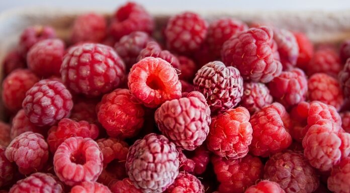 Ukraina liderem w eksporcie mrożonych malin. Stopniowo wypiera z rynku polskie owoce eksport mrożonych malin z Ukrainy, Ukraina mrożone maliny