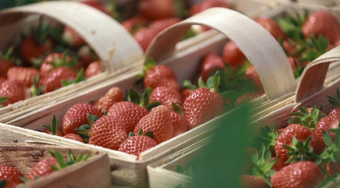 Fenomen polskiej łubianki truskawkowej. To już tradycja i symbol sezonu