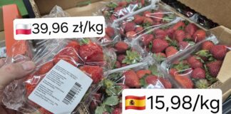 Truskawkowe dylematy. Co naprawdę myślą internauci o polskich owocach? polskie truskawki