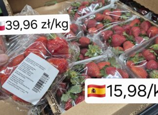 Truskawkowe dylematy. Co naprawdę myślą internauci o polskich owocach? polskie truskawki