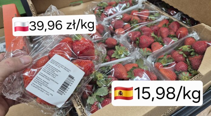 Truskawkowe dylematy. Co naprawdę myślą internauci o polskich owocach? polskie truskawki