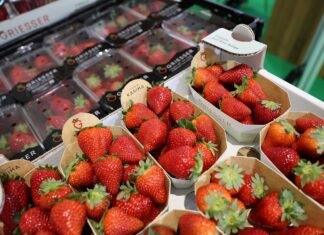 Branża jagodowa na targach Macfrut 2025