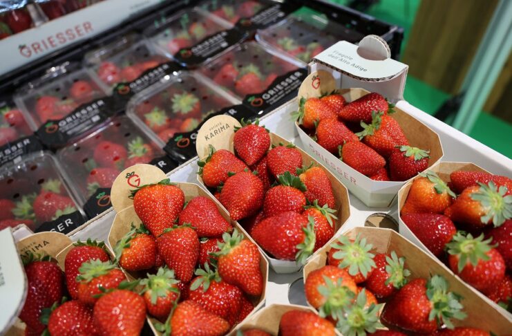 Branża jagodowa na targach Macfrut 2025