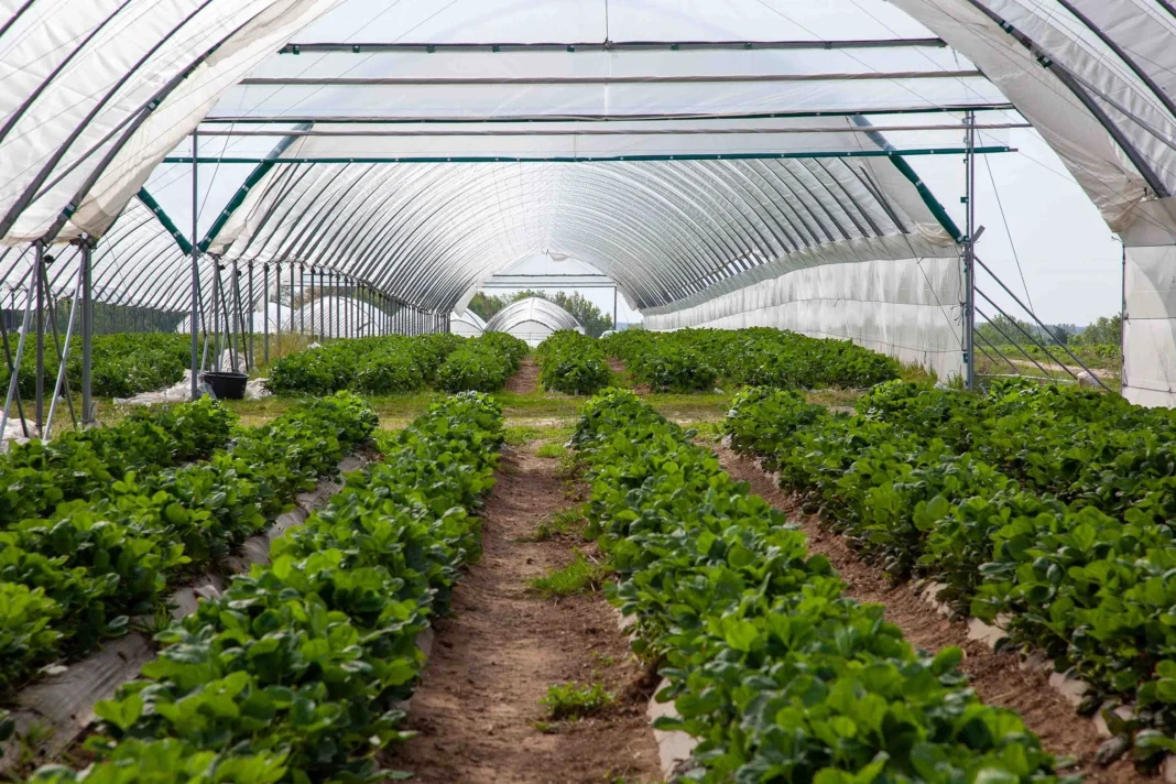 Amagro_enermax_artykuł-_3_