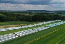 Przygotowania budżetowe UE na lata 2028–2034 Truskawki w Górach Świętokrzyskich