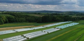 Przygotowania budżetowe UE na lata 2028–2034 Truskawki w Górach Świętokrzyskich