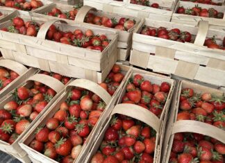 Ceny truskawek w dół. Pogoda nie sprzyja nawet handlowi