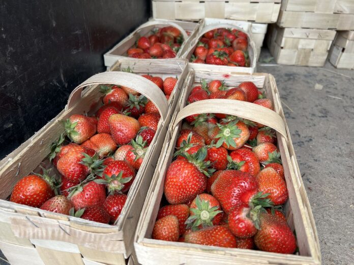 truskawki ceny, ceny truskawek