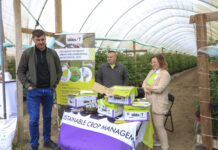 Ochrona biologiczna malin w tunelu