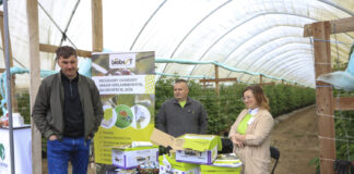 Ochrona biologiczna malin w tunelu