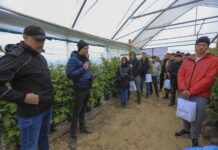 Nowe typy tuneli do uprawy malin. Relacja ze szkolenia – Tunelowe Inspiracje 2025 w gospodarstwie „Kozacka Truskawka”