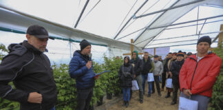 Nowe typy tuneli do uprawy malin. Relacja ze szkolenia – Tunelowe Inspiracje 2025 w gospodarstwie „Kozacka Truskawka”