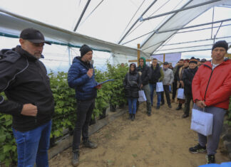 Nowe typy tuneli do uprawy malin. Relacja ze szkolenia – Tunelowe Inspiracje 2025 w gospodarstwie „Kozacka Truskawka”