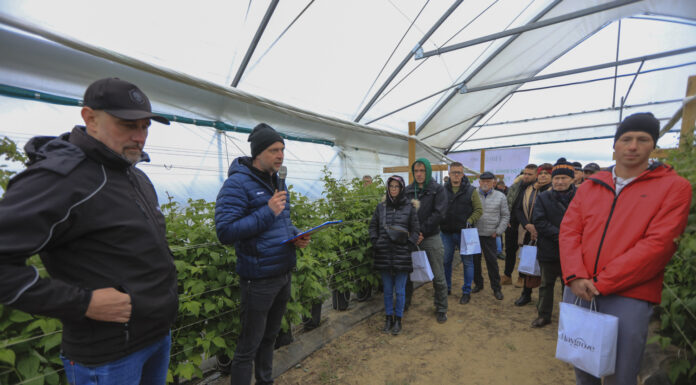 Nowe typy tuneli do uprawy malin. Relacja ze szkolenia – Tunelowe Inspiracje 2025 w gospodarstwie „Kozacka Truskawka”