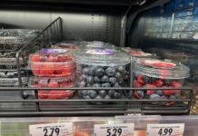 Owoce jagodowe we Włoszech – ceny i asortyment Owoce jagodowe we Włoszech