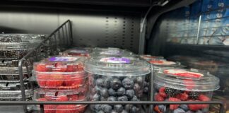 Owoce jagodowe we Włoszech – ceny i asortyment Owoce jagodowe we Włoszech