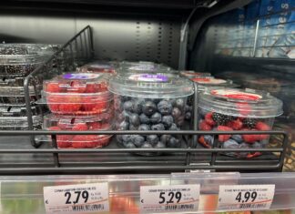 Owoce jagodowe we Włoszech – ceny i asortyment Owoce jagodowe we Włoszech